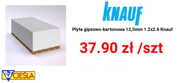 płyta