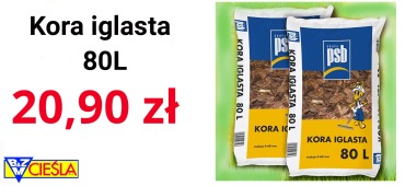 kora