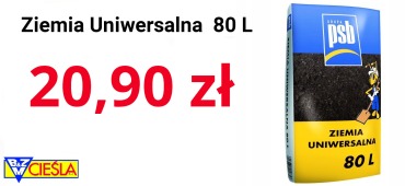 ziemia