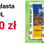 kora
